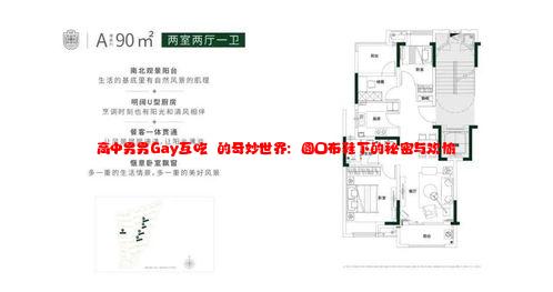 高中男男Gay互吃鳮的奇妙世界：圆囗布鞋下的秘密与欢愉