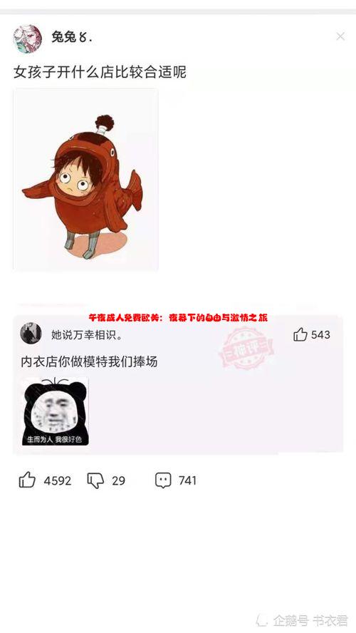 午夜成人免费欧美：夜幕下的自由与激情之旅