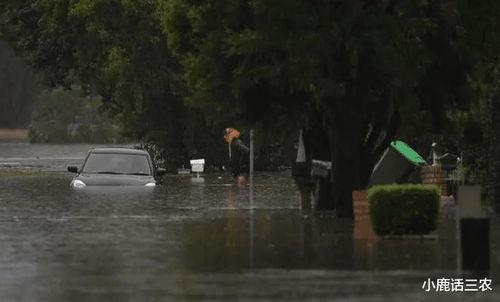 外勤中突然下大雨：如何应对突发天气变化的实用指南