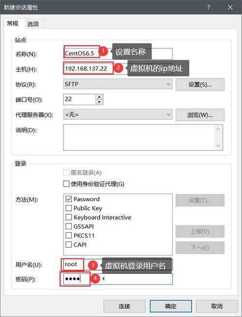 {x7x7暴力噪和暴力噪的区别：深入解析两者的特征与影响}